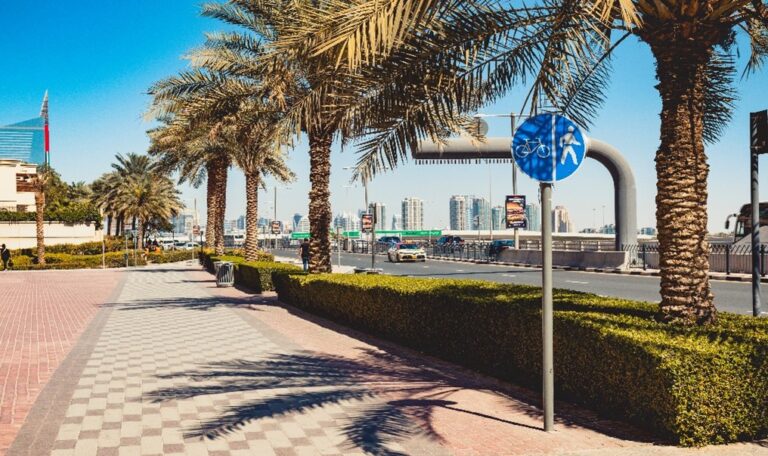 Setting up a business in Dubai’s Free Zones