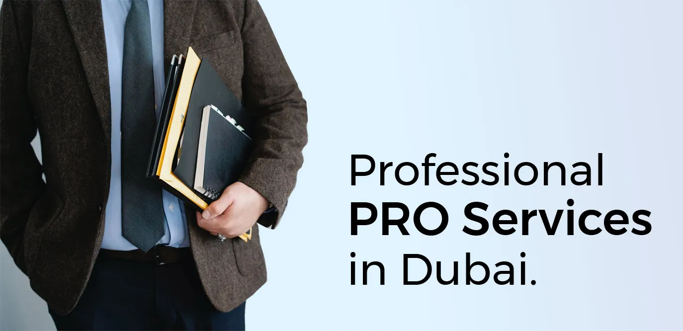 business set up companies in dubai - Person holding notebooks with text 'Professional PRO Services in Dubai.'